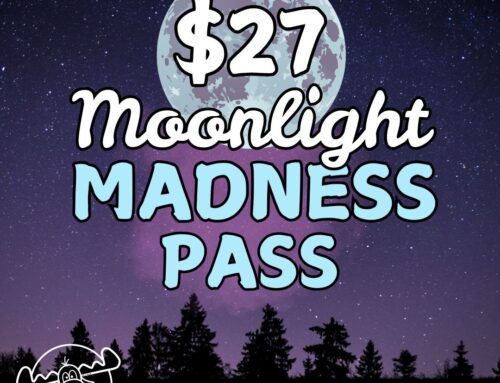 Moonlight Madness at Bullwinkle’s Wilsonville – Unlimited Nighttime Fun for Just $27!